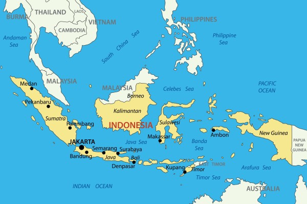 تاریخ التشیع فی أندونیسیا