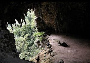 غارهای تمیمینا، برزیل